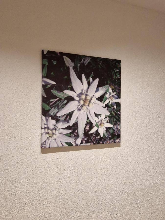 Flor De Nieve Apartamento Jaca Exterior foto